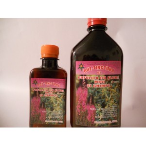 Goneryl Salesperson Incense Tera Buz Plant | Buz – Tinctura de pufulita cu flori mici si ghimpe