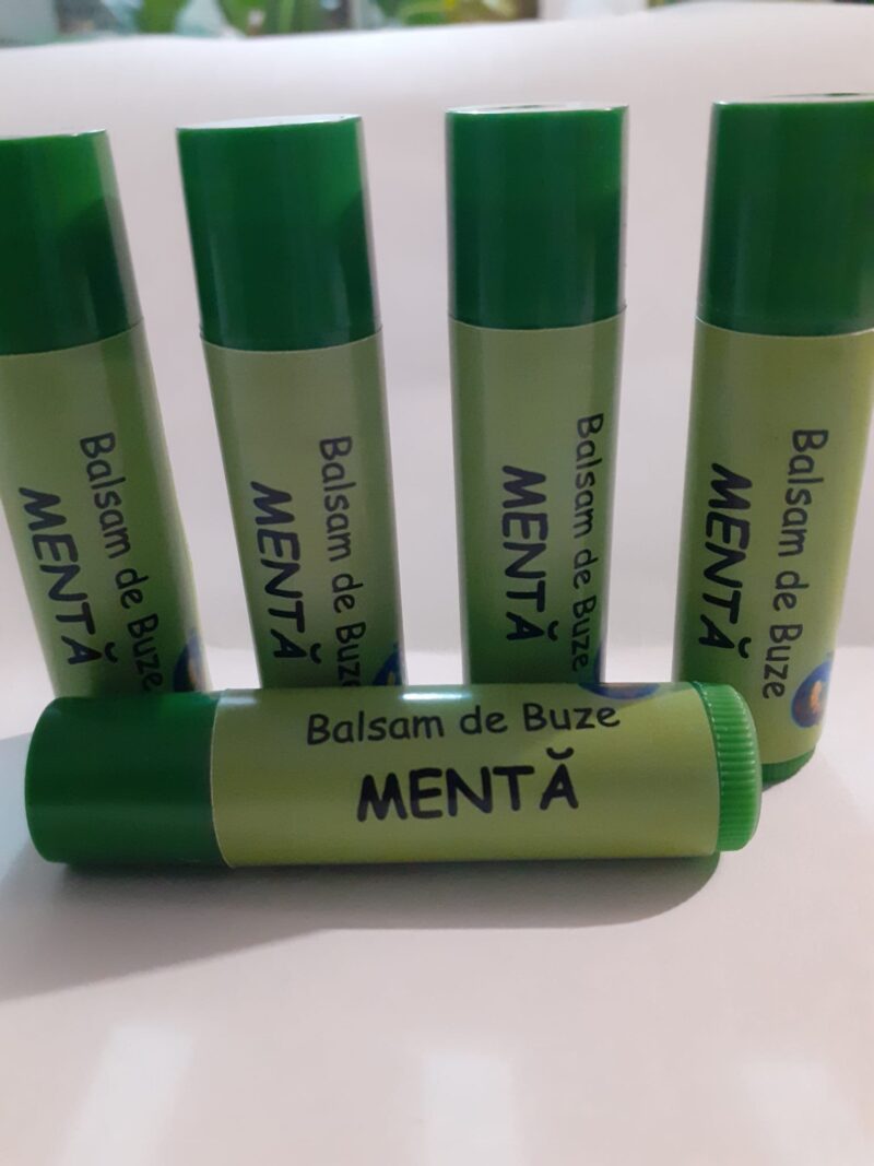 BALSAM DE BUZE MENTA
